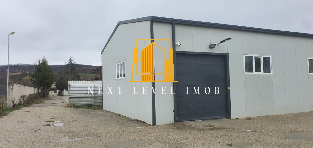 Închiriere hală industrială 400 mp – Călinești, Argeș