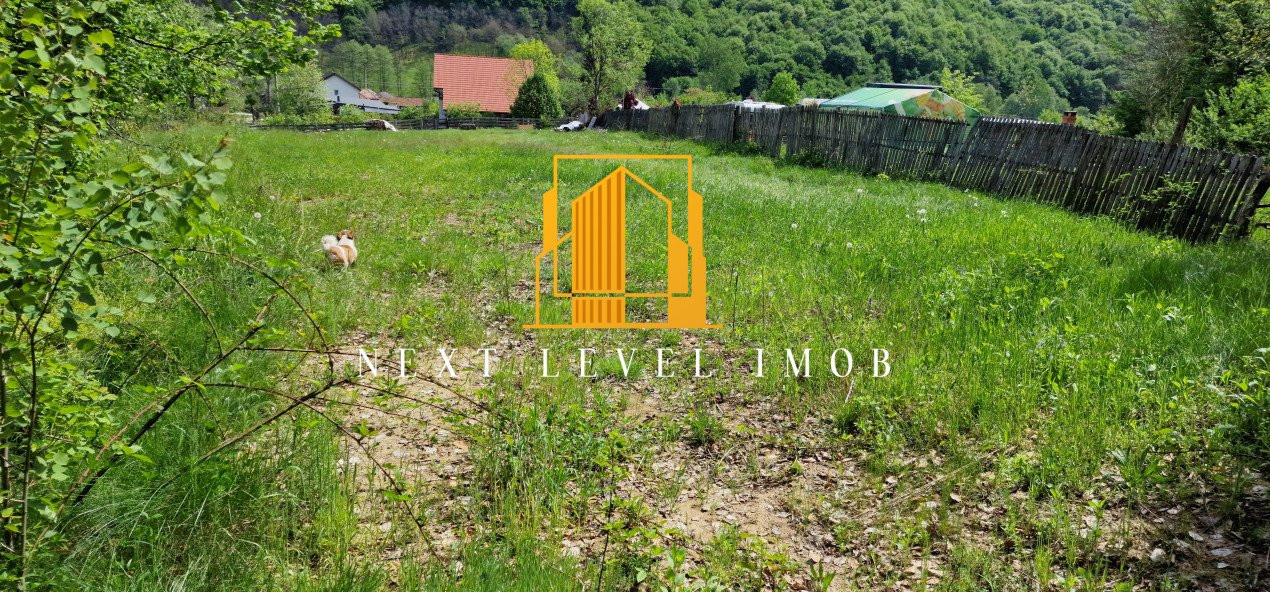 Teren extravilan 2200 mp - Budeasa Mică, Argeș