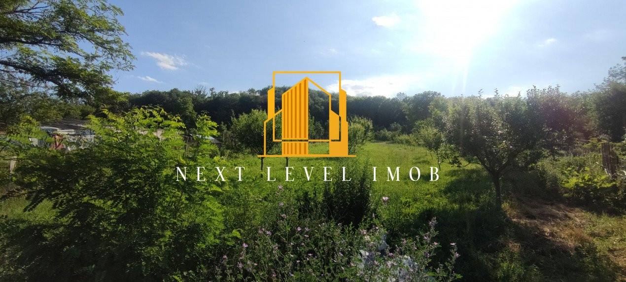 Casă spațioasă – Micești, Argeș, teren generos 2.500 mp, COMISION 0%