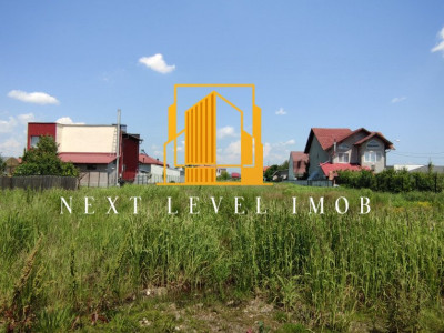 Teren intravilan – 7700 mp – Pitești, Prelungirea Craiovei