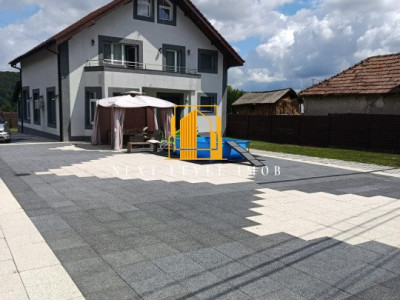 Vila superbă BASCOV - Brăileni