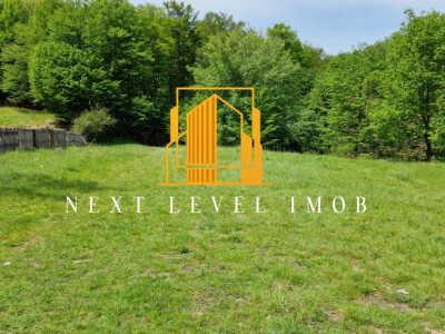 Teren extravilan 2200 mp - Budeasa Mică, Argeș, COMISION 0%