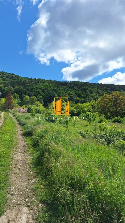 Casa superbă Budeasa