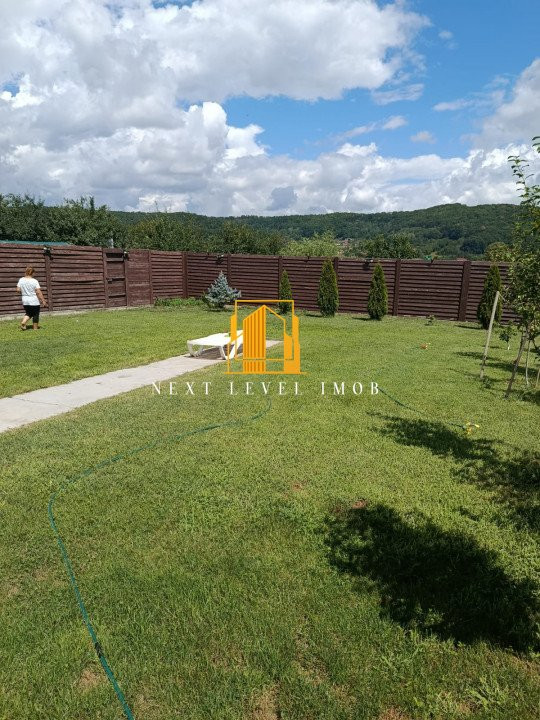 Vila superbă BASCOV - Brăileni