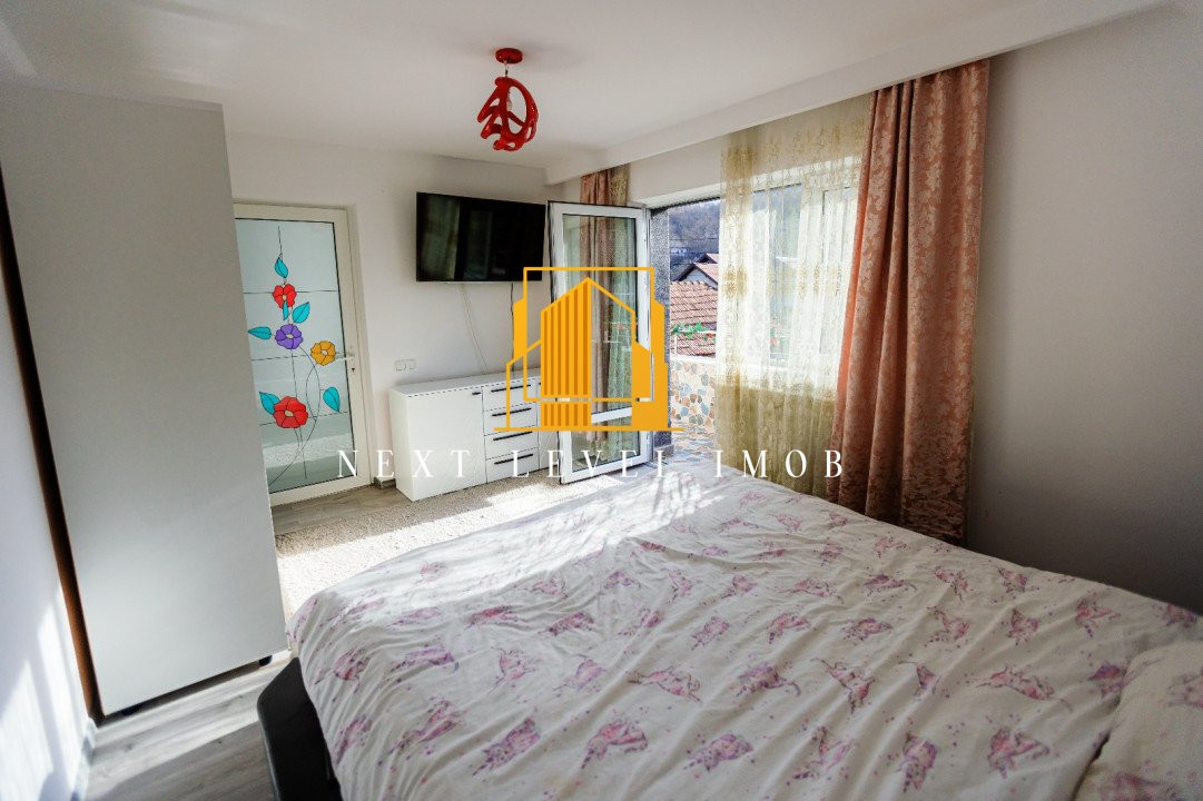 Vila superbă BASCOV - Brăileni