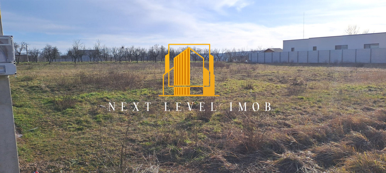 Teren Albota, Morlovani