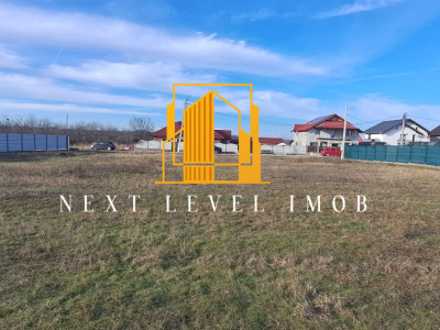 Teren Albota, Morlovani