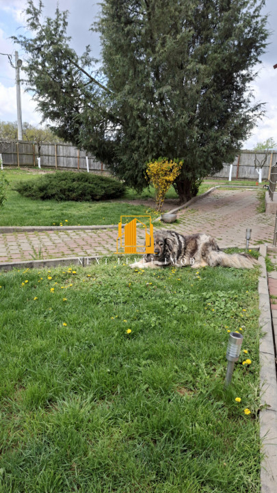 Casă de vacanță langă padurea TRIVALE