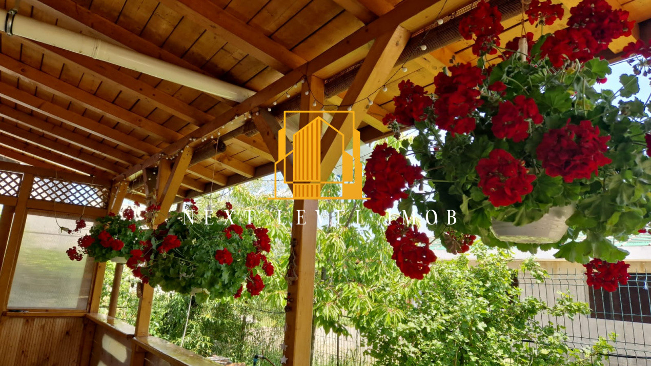 🏡 Casă modernă P+M de vânzare în Bascov – Lăbușești